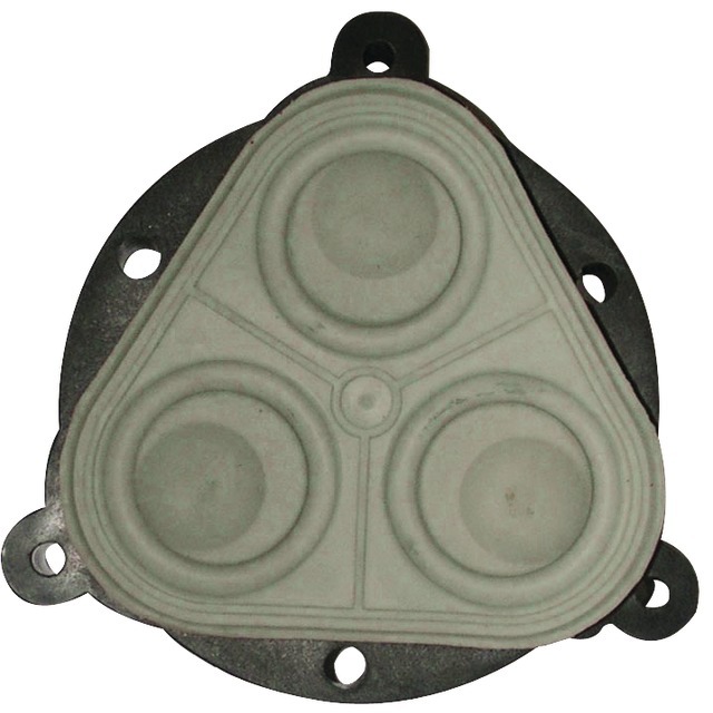 KIT Membrane Pompe EF2200 Everflo référence fournisseur 30548376